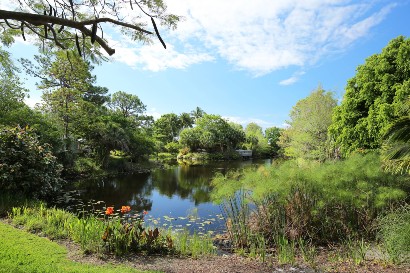 A pond in Palm Beach, Florida